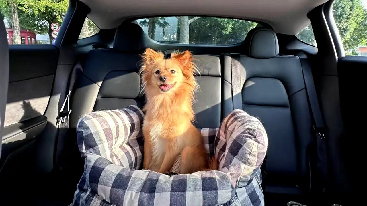 Enovix-Smart-Sunshade-Family-Rides-Pet-Safety-Glare-Reduction-e-NVH-Silent-Operation-Comfort